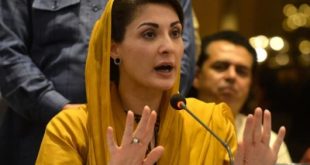 Maryam Nawaz in yellow dress talk to media