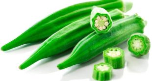 Okra vegetable and its seeds