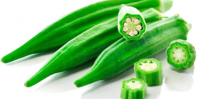 Okra vegetable and its seeds