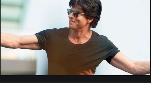 SRK clocked 29 years in Bollywood