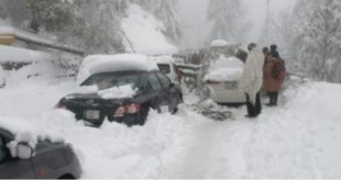 Murree probe committee complete report