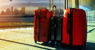 World tourism not coming to normal