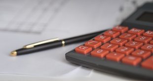 Investment in risk free govt securities