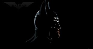The Bat Man @ Pakistani Box Office