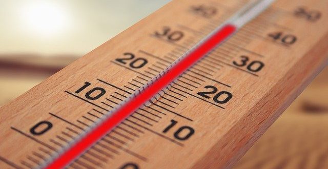 Climate change produce more pollen