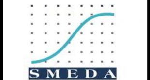 CEO Smeda resigns over abrogation of constitution