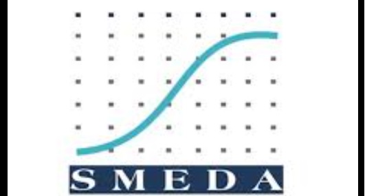 CEO Smeda resigns over abrogation of constitution