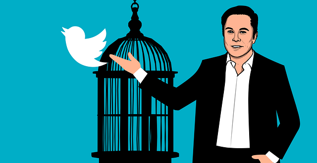Chaos in twitter