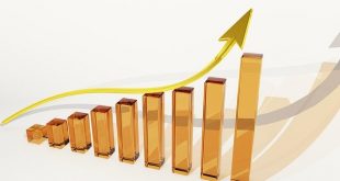 HBL investment plans