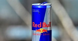 Red Bull Best flavors