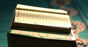 Muslims protest against burning of holy Quran