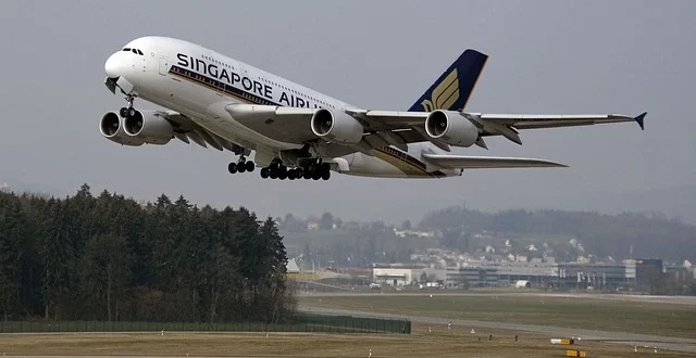 singapore passport free immigration