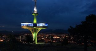 telenor internship program