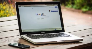 Freelancing career in Pakistan
