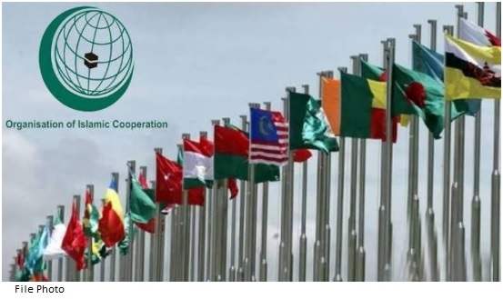 OIC terminates Swedish envoy