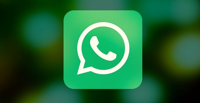 WhatsApp group chats