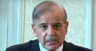 PM Shehbaz Sharif apex committee