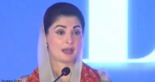 Maryam Nawaz handshake with UAE president