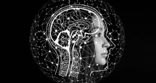 Microsoft investment in India