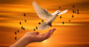 Kurram Peace Deal