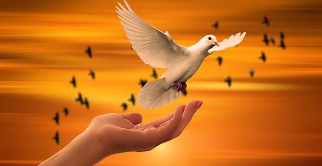 Kurram Peace Deal