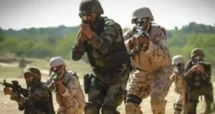 Pak forces kill 54 terrorists