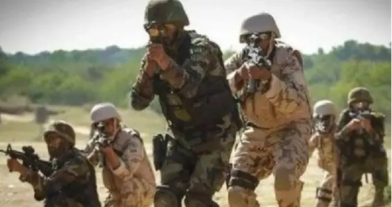 Pak forces kill 54 terrorists