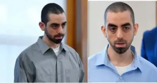 Salman Rushdi attacker