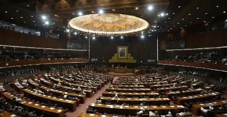 National Assembly passes resolution against India