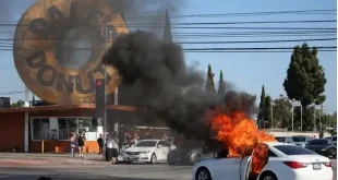 Violent protests in LA