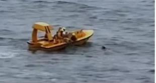 Father jumps into ocean to save daughter