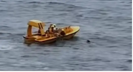 Father jumps into ocean to save daughter