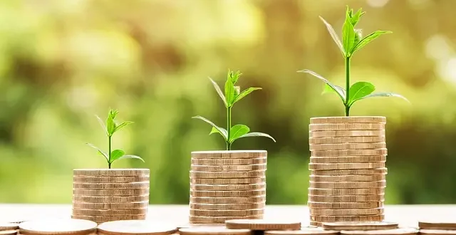Pakistan's first green taxonomy