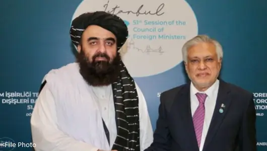 Ishaq Dar calls Afghan FM