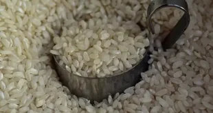 Pakistani rice export to Bangladesh