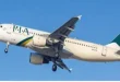 PIA privatization, fleet and losses