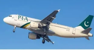 PIA privatization, fleet and losses