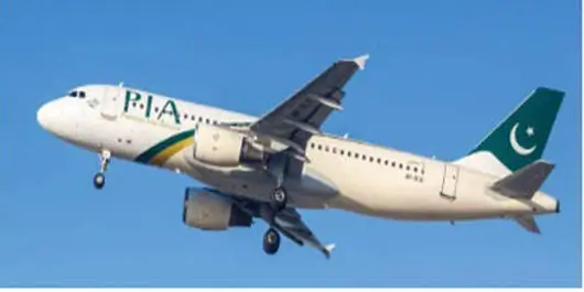 PIA privatization, fleet and losses