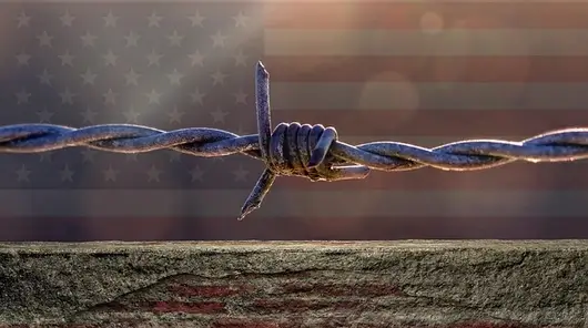US halts immigration visa process