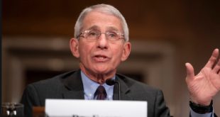 Dr Fauci