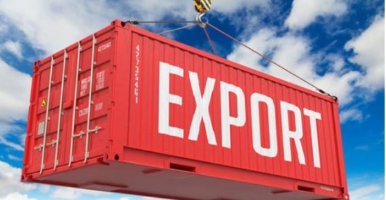 Import Export Portal launched