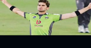 Shaheen Afridi ICC player of the year