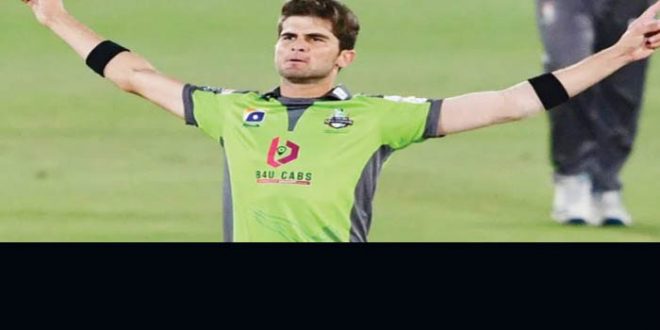 Shaheen Afridi ICC player of the year
