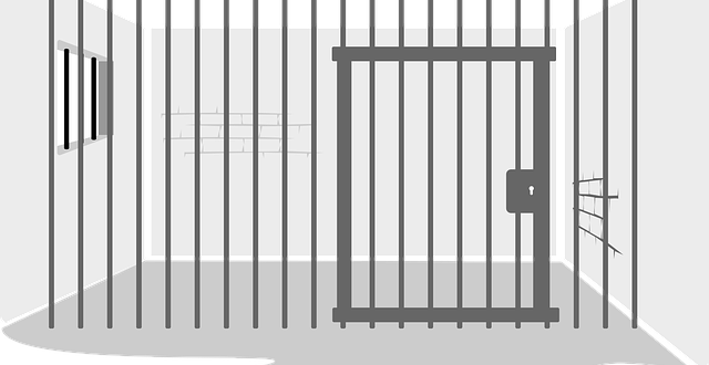 Inmates have video call facility in Punjab jails