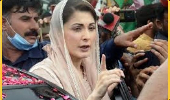 PMLN sees wrong in the bottom