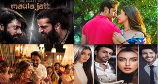 downfall of pakistan film industry