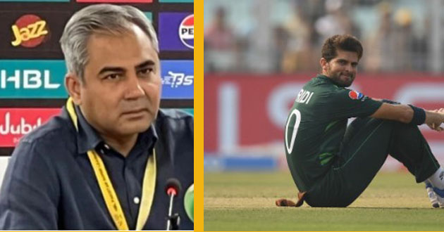 will shaheen afridi continue as T20 captain?