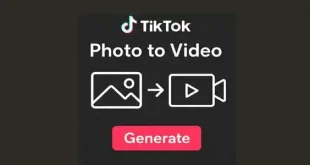 TikTok pic to video feature