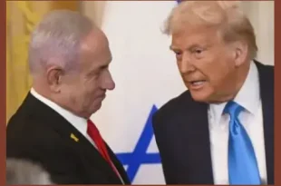 Gaza ceasefire in 2 weeks