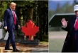Trump quits G7 meeting